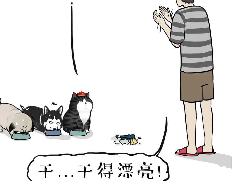 47.jpg