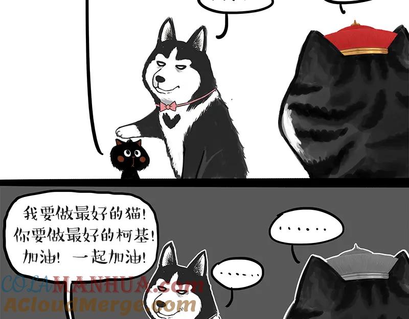 35.jpg