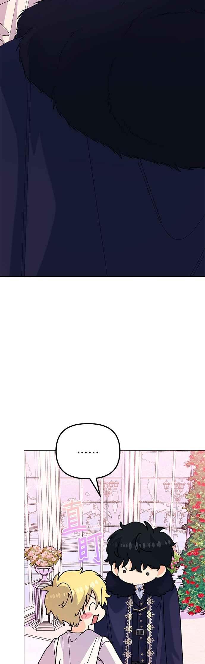 35.jpg