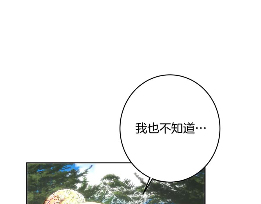 116.jpg