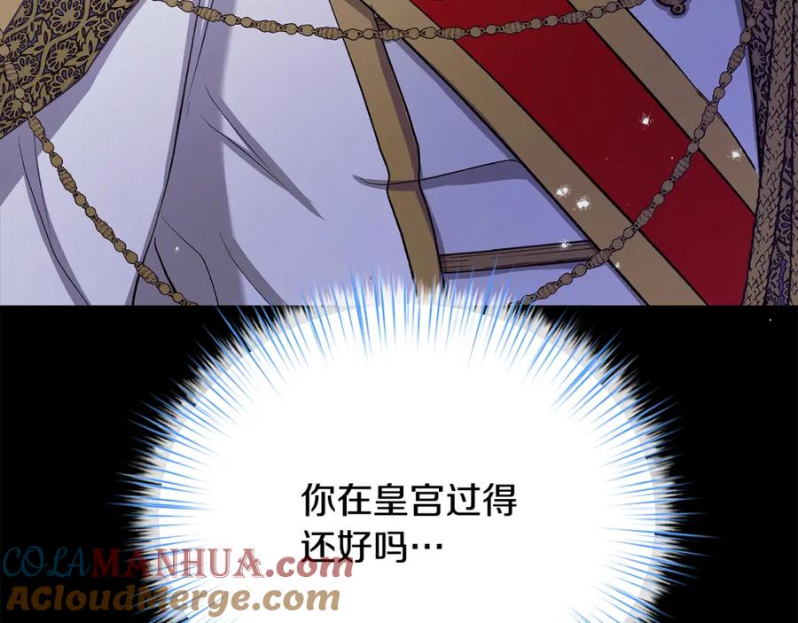 161.jpg