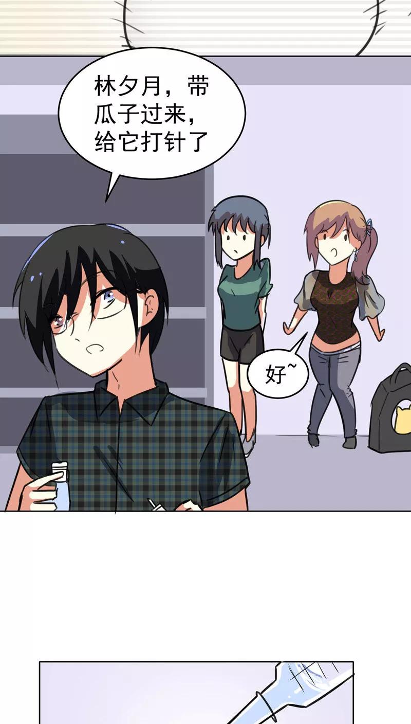 第36话-猫的制作人-极漫文化（第6张）