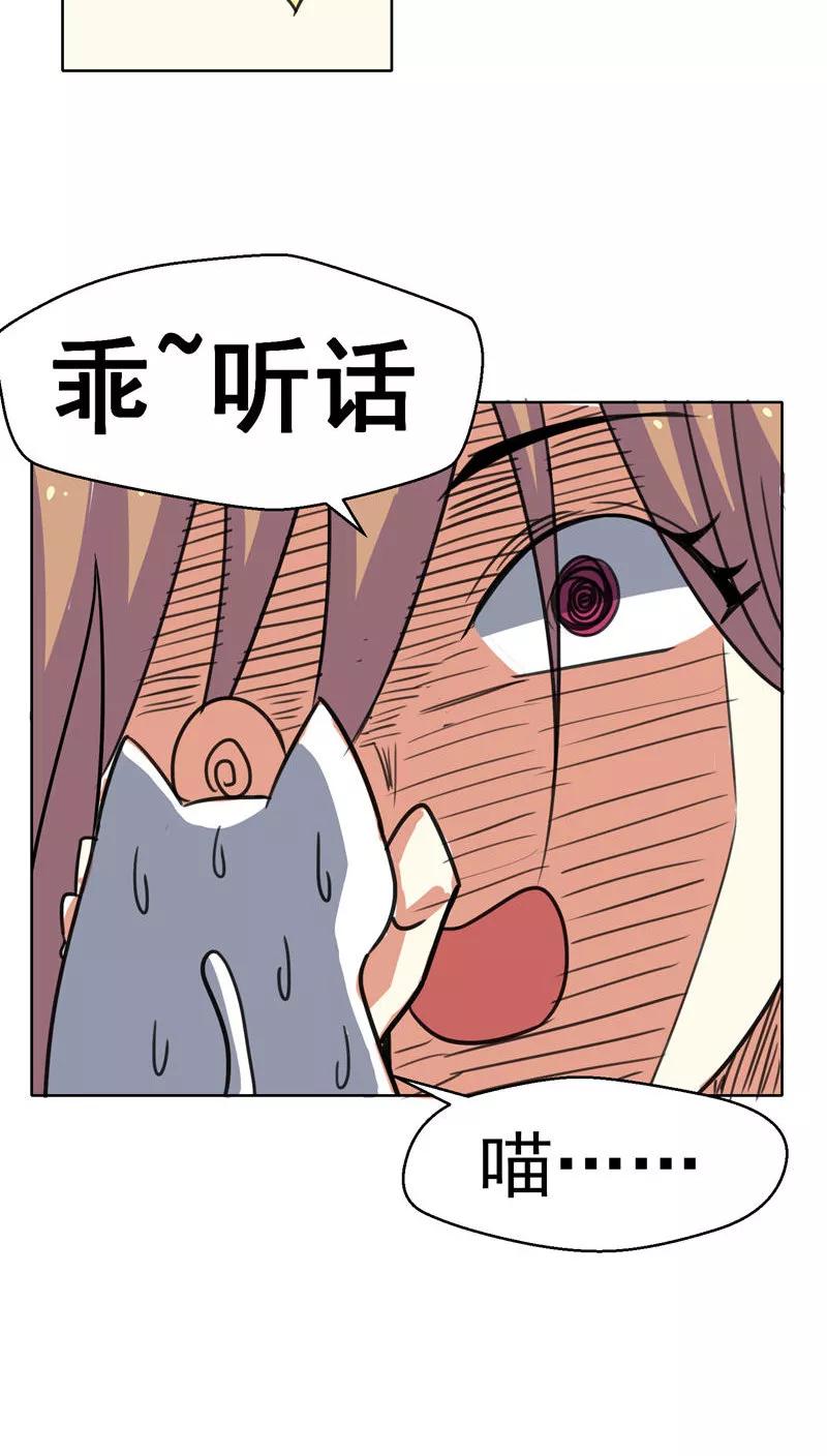 第36话-猫的制作人-极漫文化（第10张）