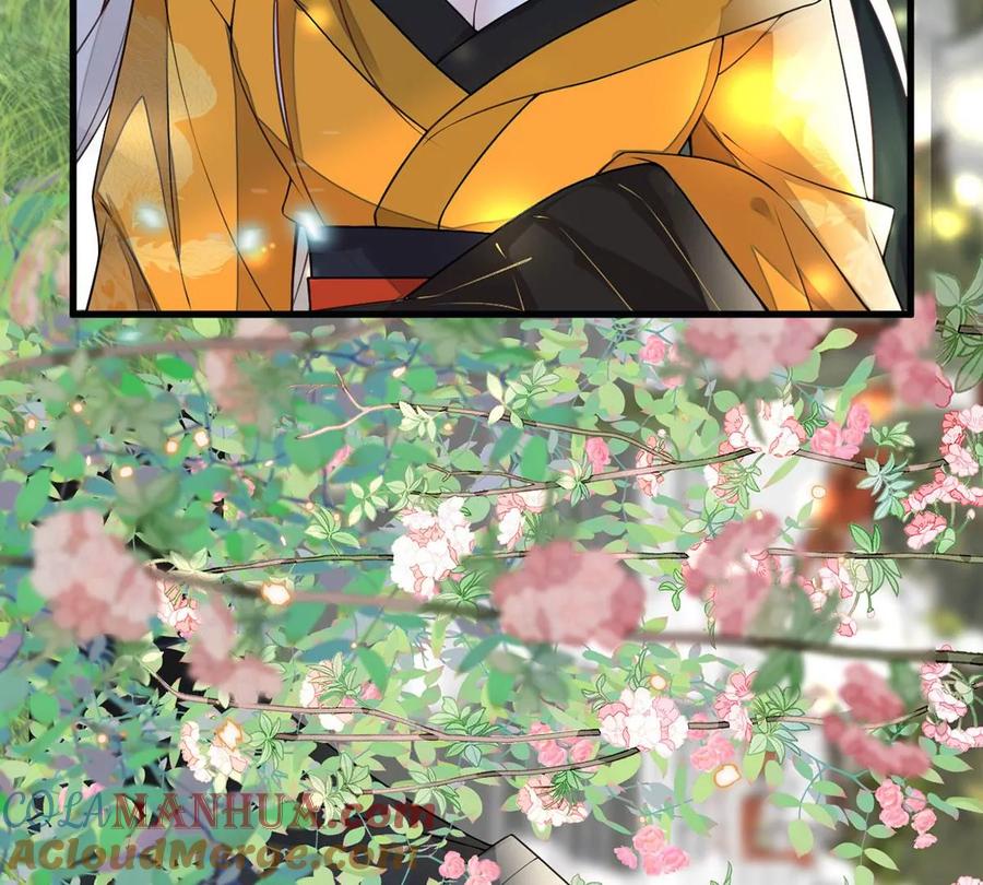 101.jpg