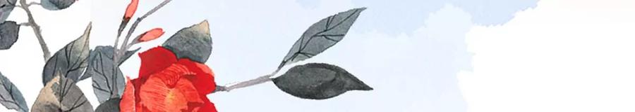 106.jpg