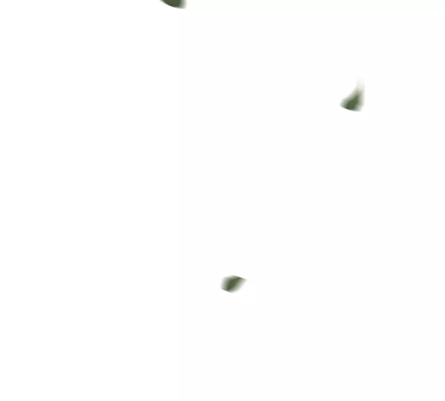 115.jpg