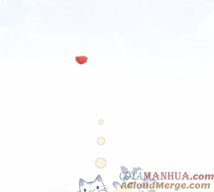 113.jpg