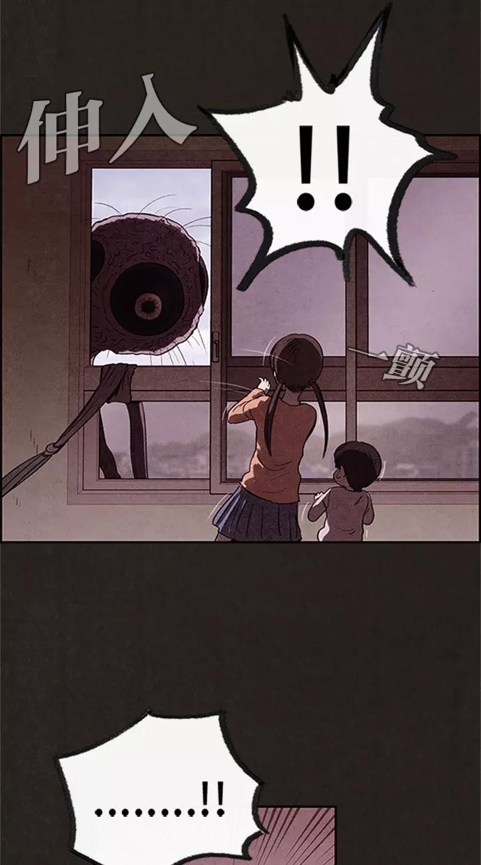 47.jpg