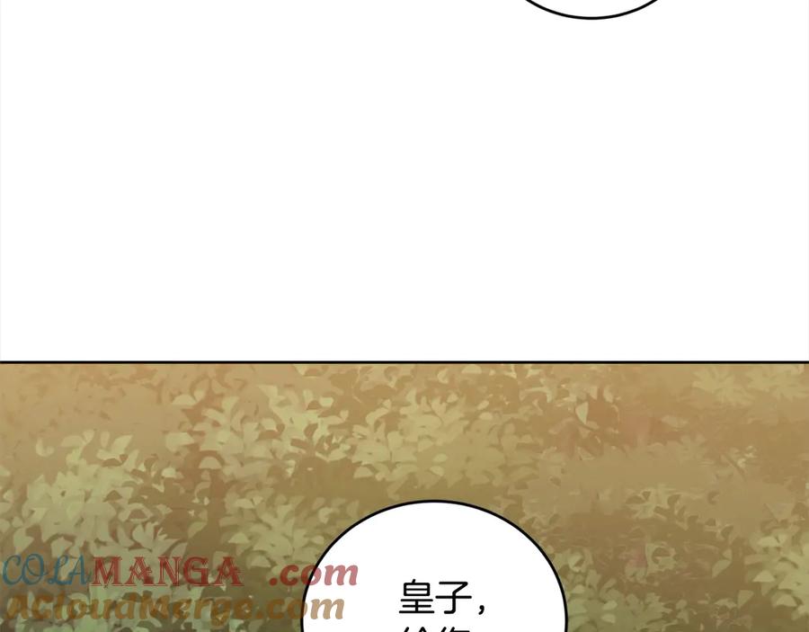 97.jpg