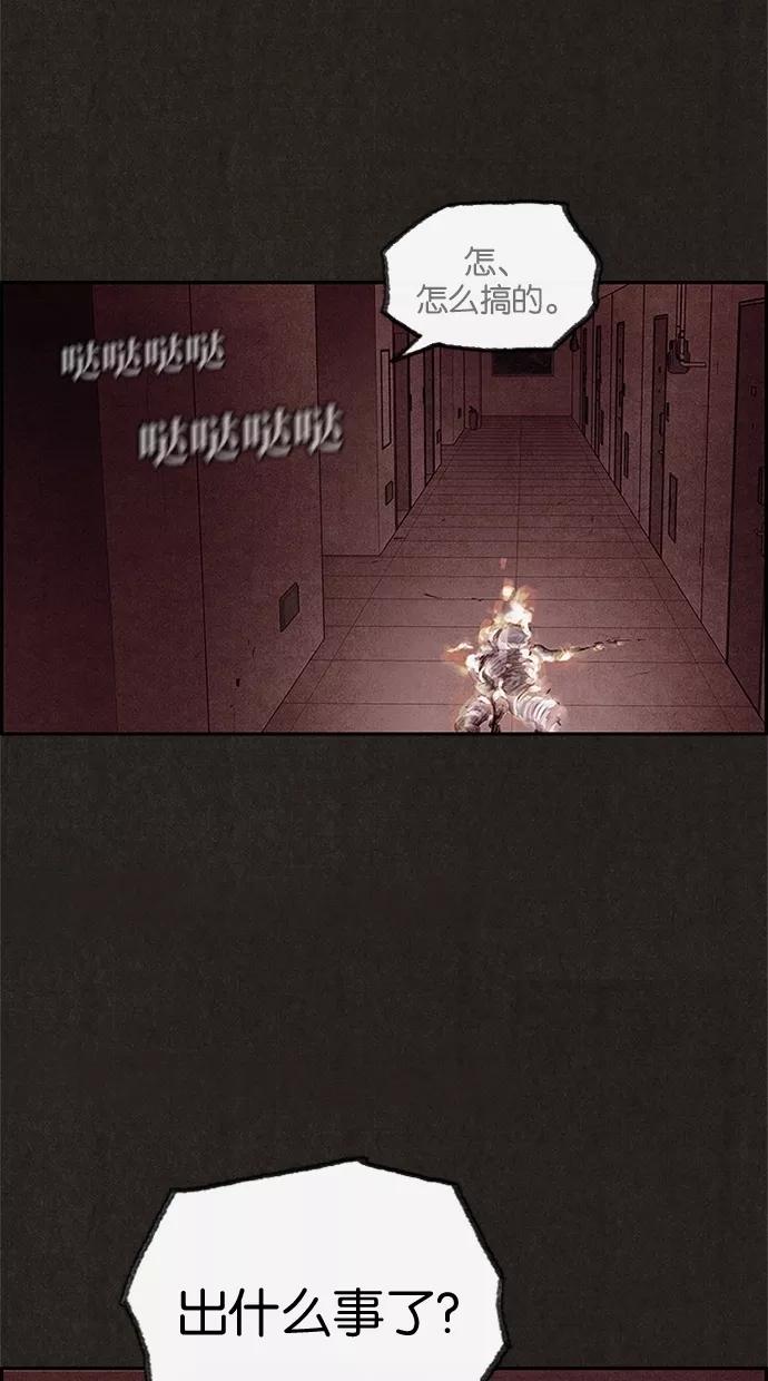 45.jpg