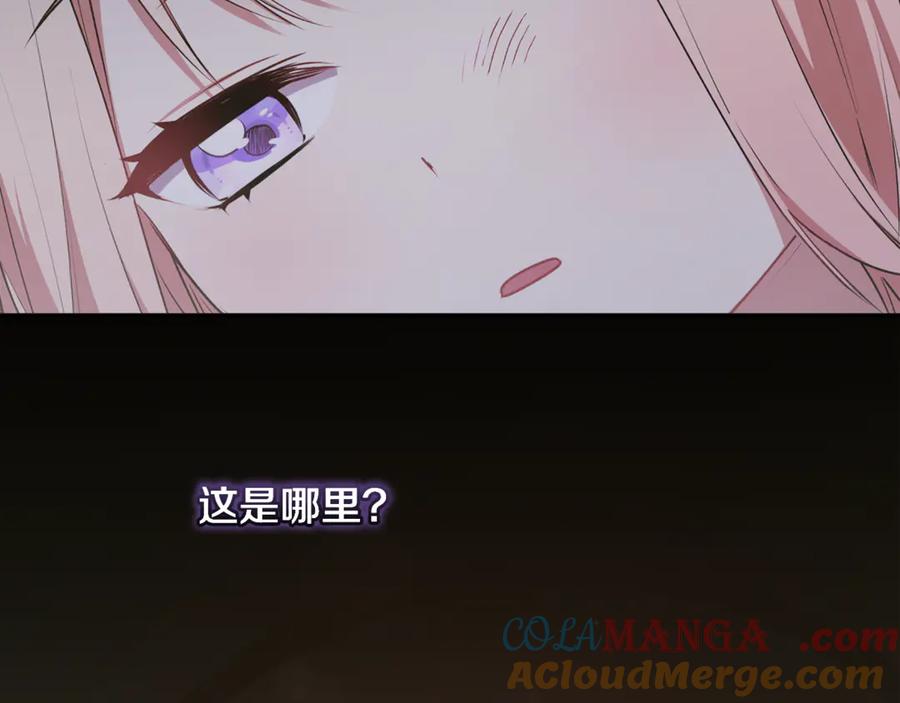 161.jpg
