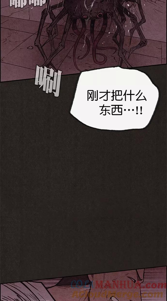 46.jpg
