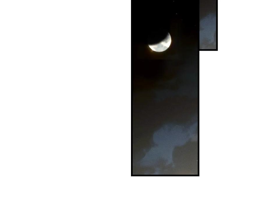 92.jpg