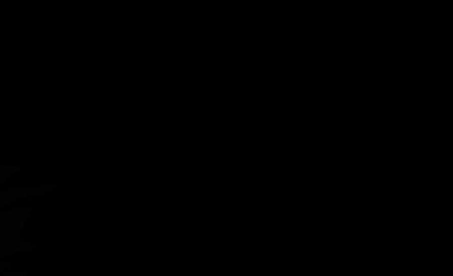 103.jpg