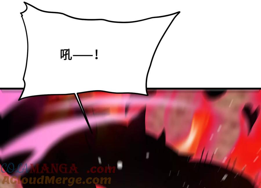 73.jpg