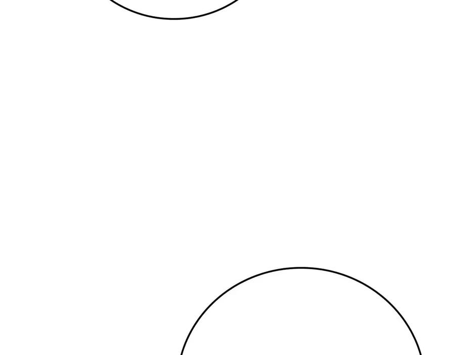 164.jpg