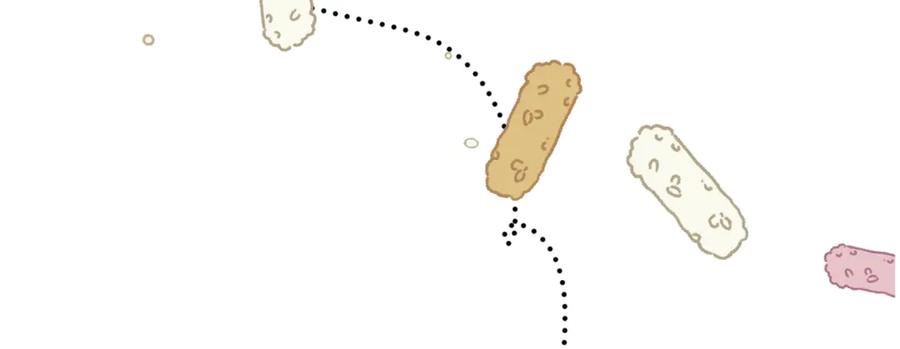 86.jpg