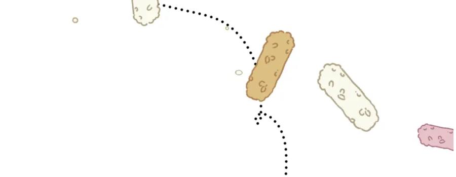 81.jpg