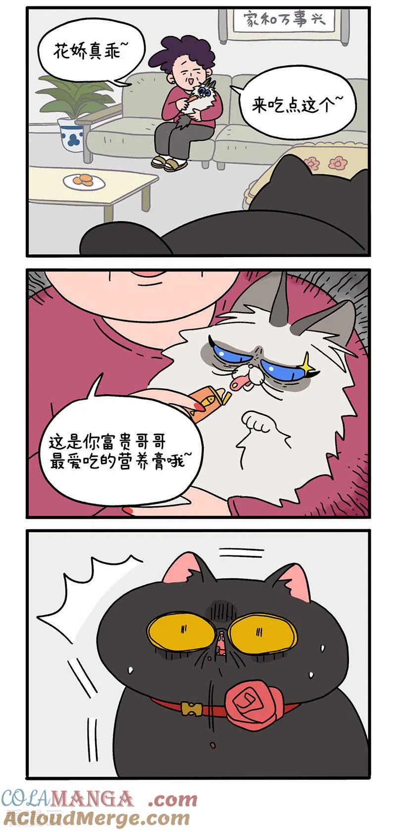 第16话1住院的理由-阿满和麦茶-新漫画 日胖大海寺（第2张）