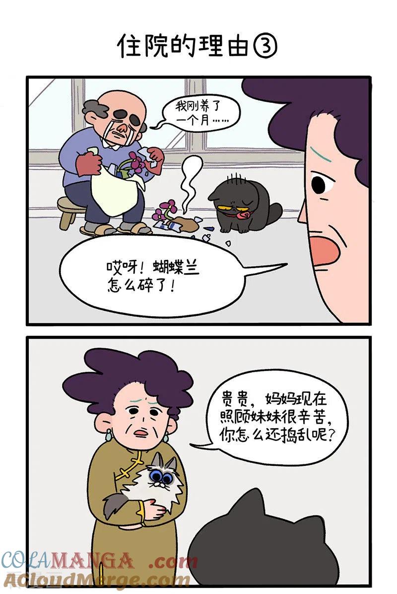 第16话1住院的理由-阿满和麦茶-新漫画 日胖大海寺（第5张）