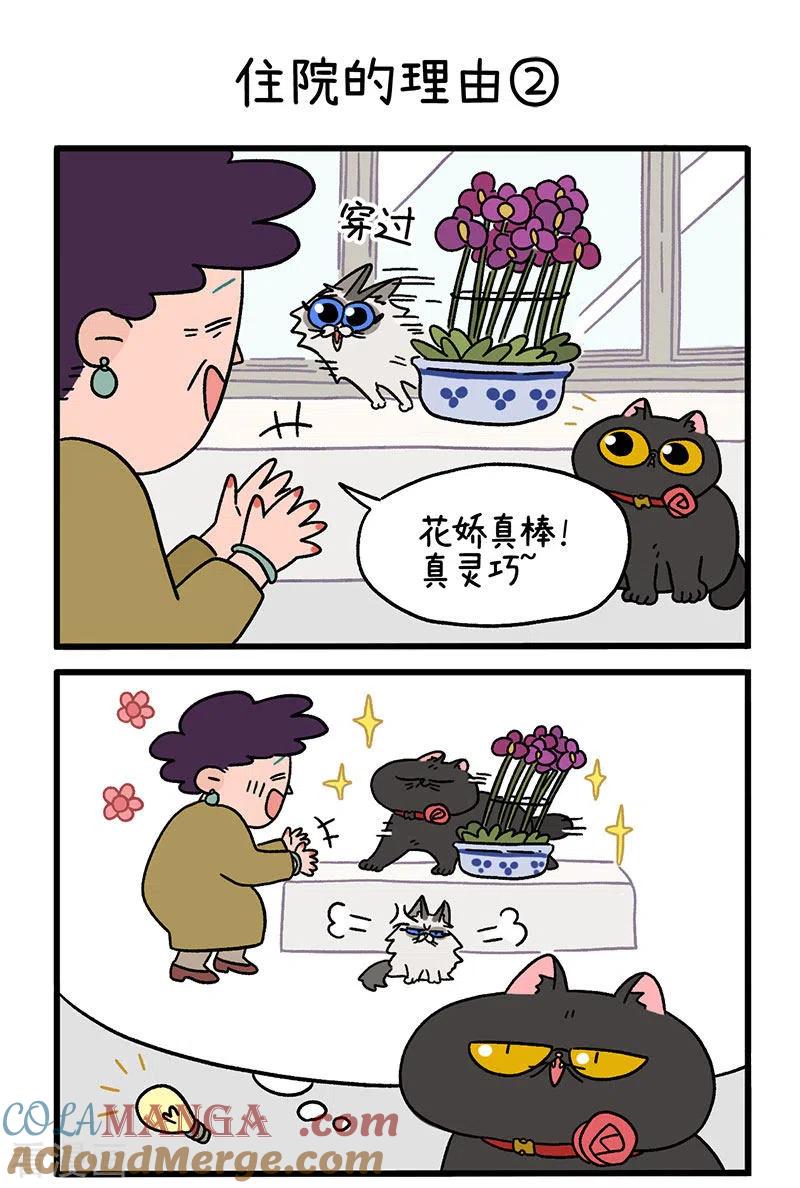 第16话1住院的理由-阿满和麦茶-新漫画 日胖大海寺（第3张）