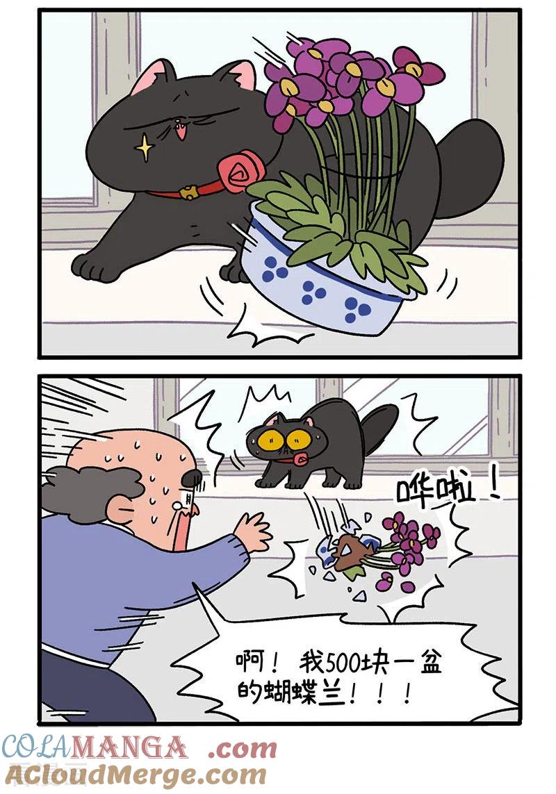 第16话1住院的理由-阿满和麦茶-新漫画 日胖大海寺（第4张）