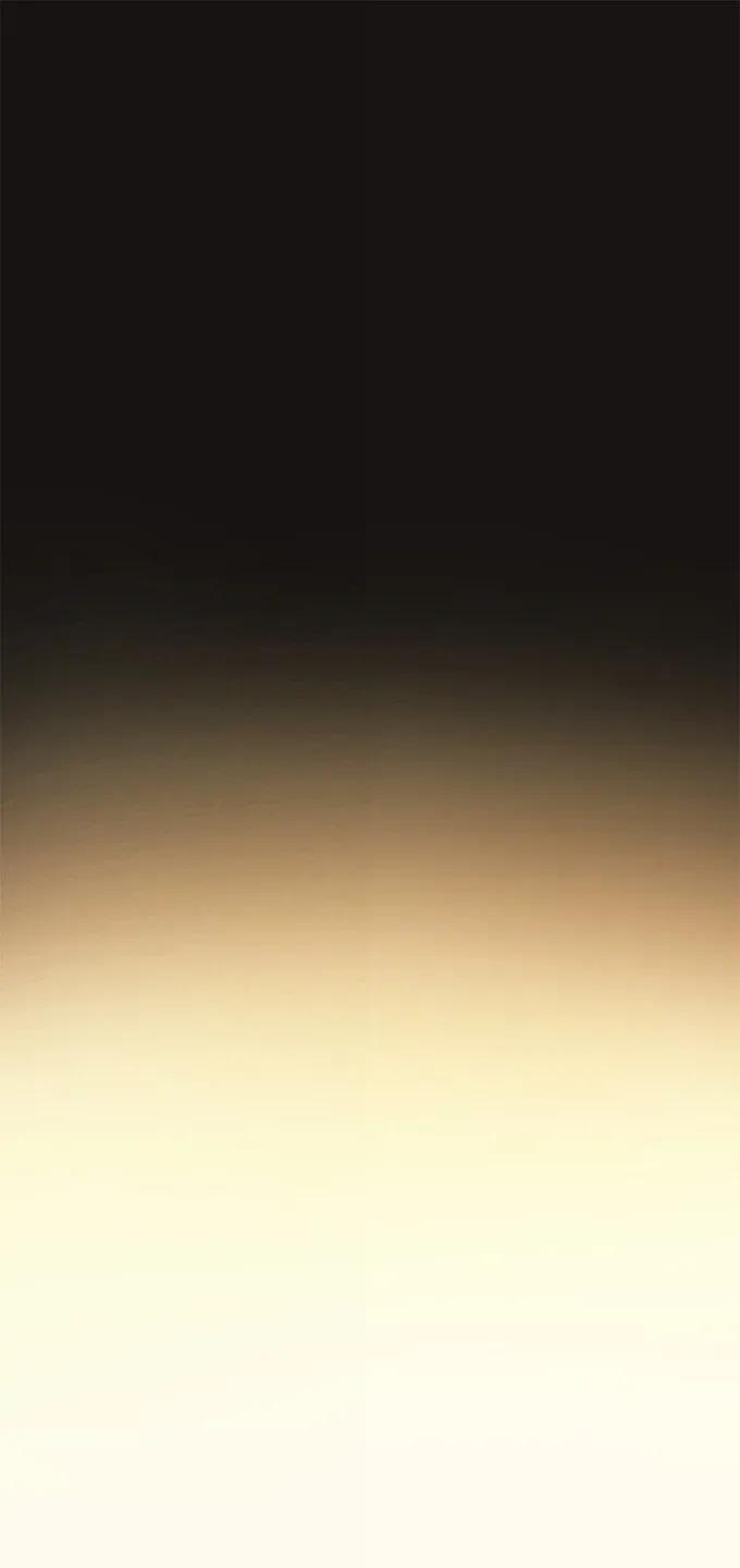 65.jpg
