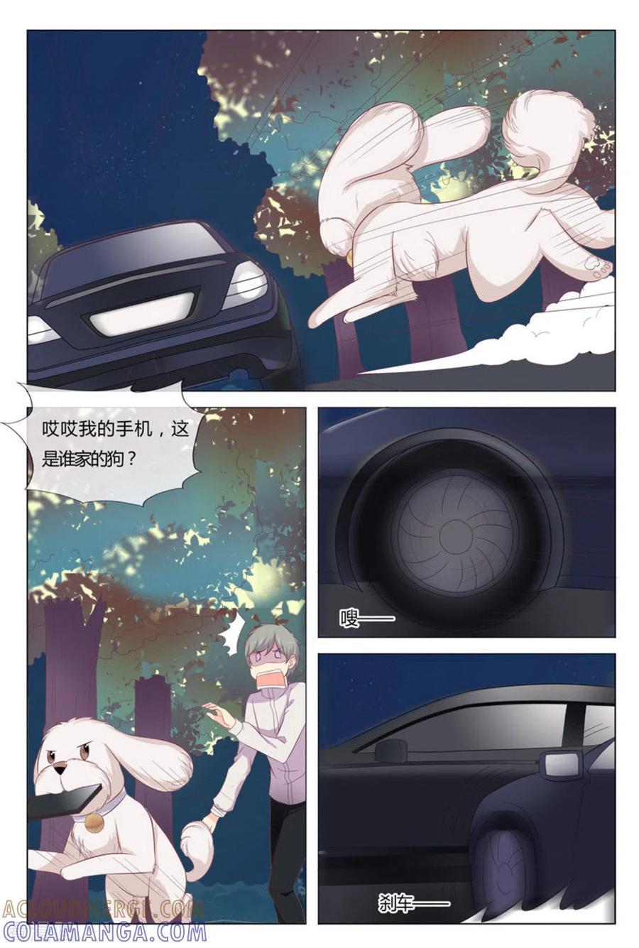 第34话-我的房东是泰迪-咪咕阅读（第5张）