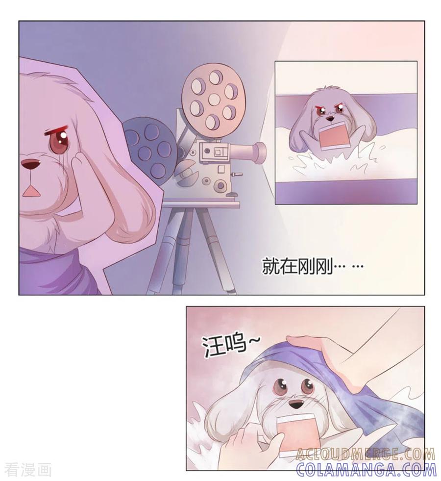 第35话-我的房东是泰迪-咪咕阅读（第15张）
