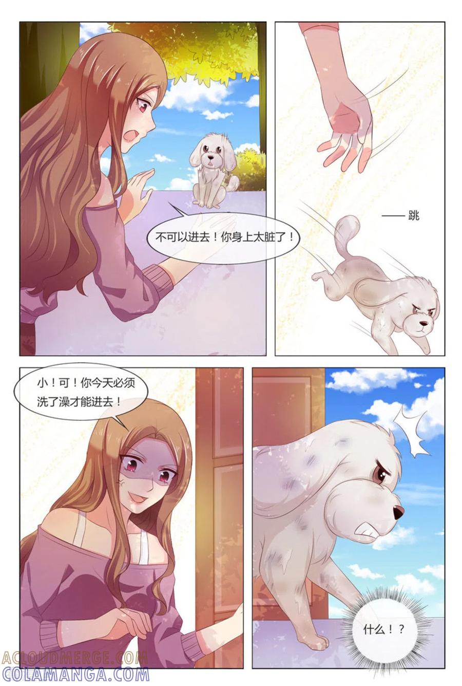 第35话-我的房东是泰迪-咪咕阅读（第9张）