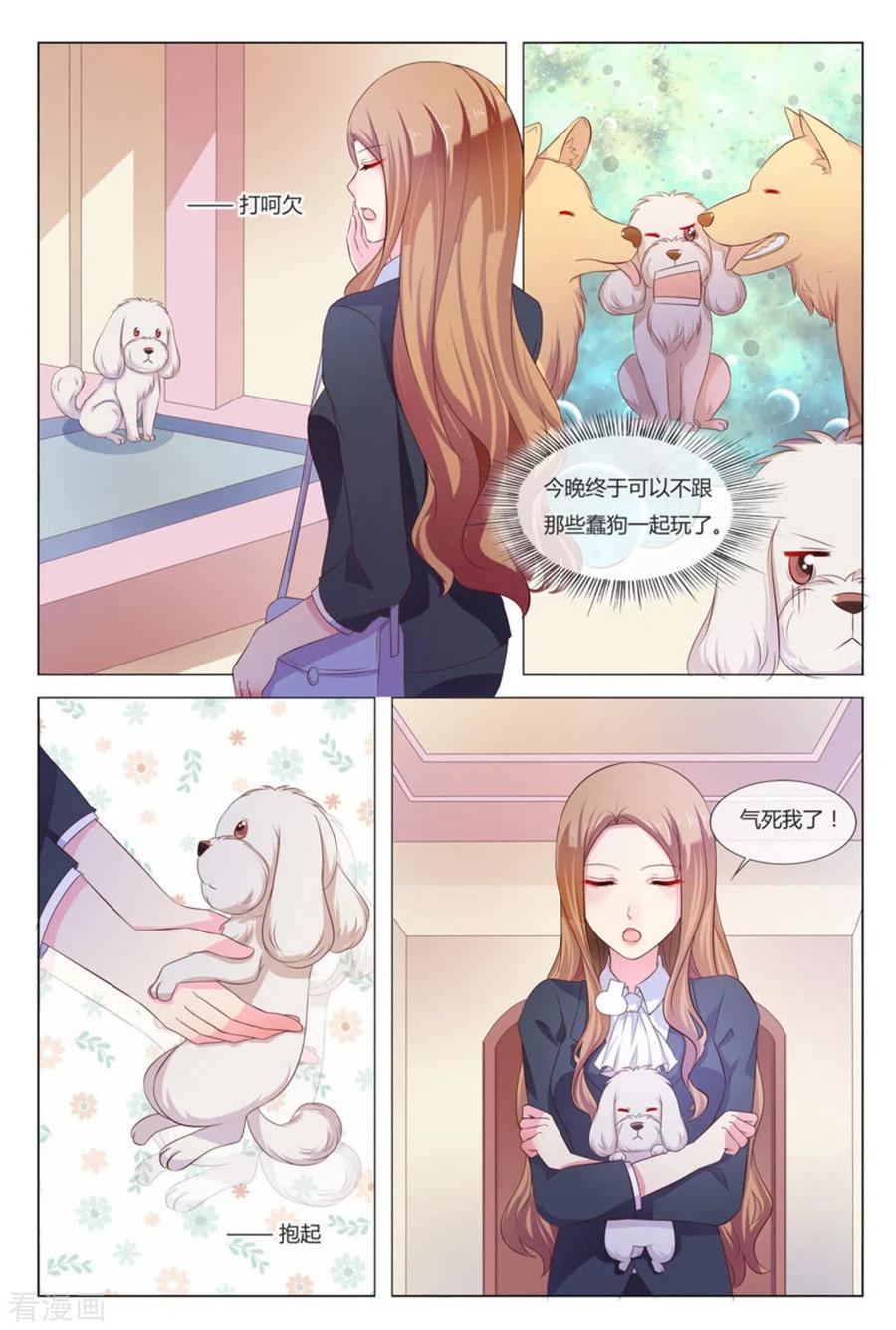 第35话-我的房东是泰迪-咪咕阅读（第4张）