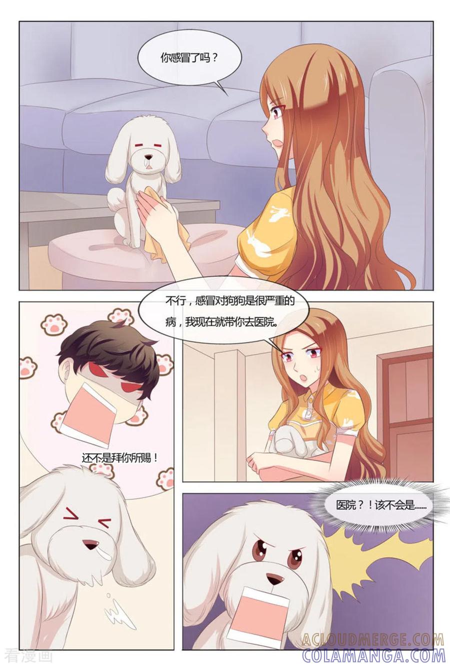 第39话-我的房东是泰迪-咪咕阅读（第11张）