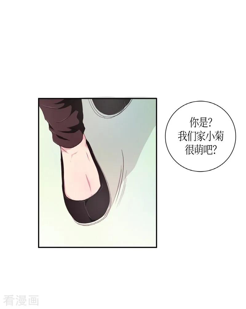 第5话蔷薇1-朝鲜男女相悦之事操作团-星际互娱（第17张）