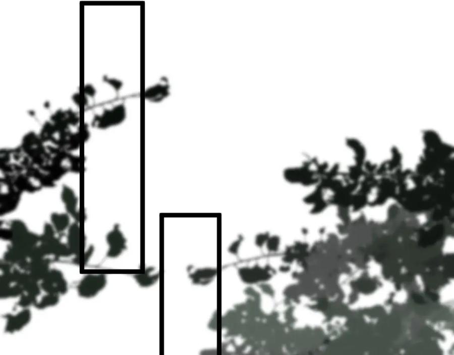 59.jpg