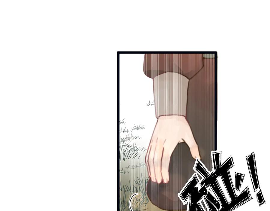 41.jpg