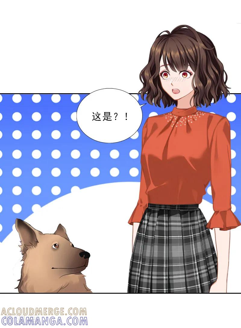 第56话救人-婚然天成：总裁老公太放肆-泛次元文化（第9张）
