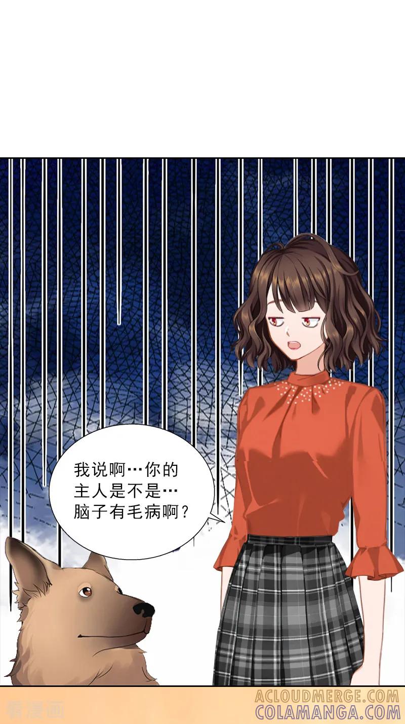 第57话风少-婚然天成：总裁老公太放肆-泛次元文化（第3张）