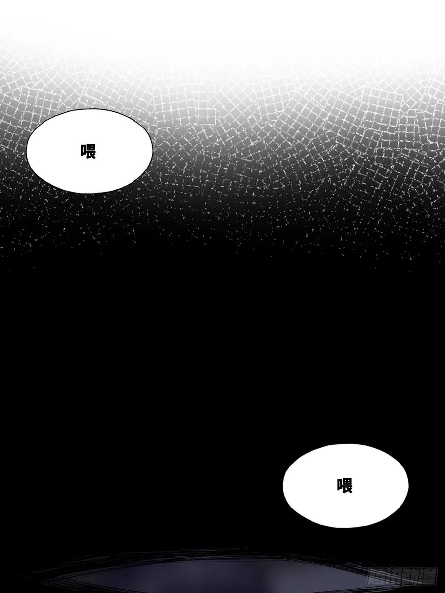 双花：1、民国鬼域-他未曾坠落-鹿溪 x 云霜堂文化（第3张）