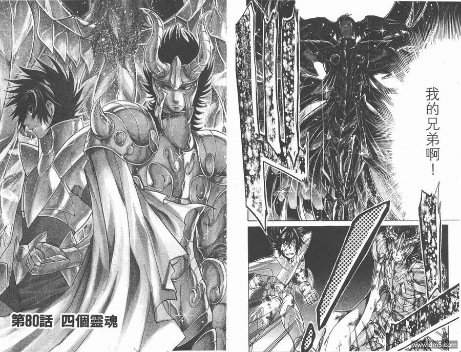 第10卷-圣斗士星矢 冥王神话-手代木史织（第13张）