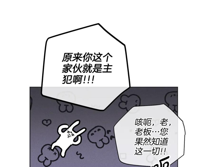 155.jpg
