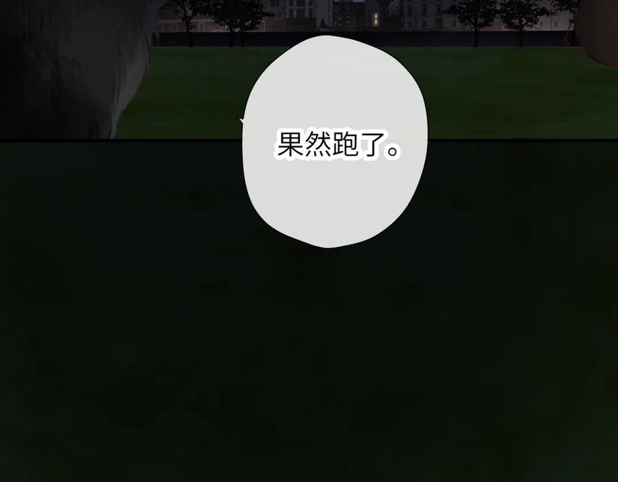 95.jpg