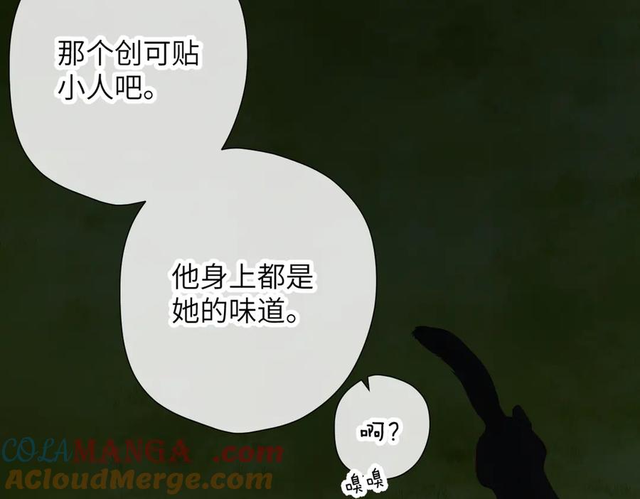 97.jpg