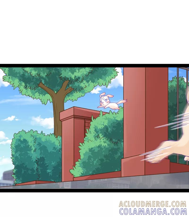 第39话-狗粮好吃-阿里文学（第19张）