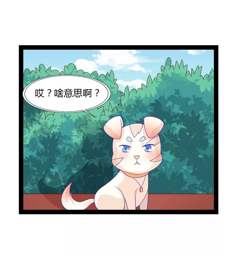 第39话-狗粮好吃-阿里文学（第8张）