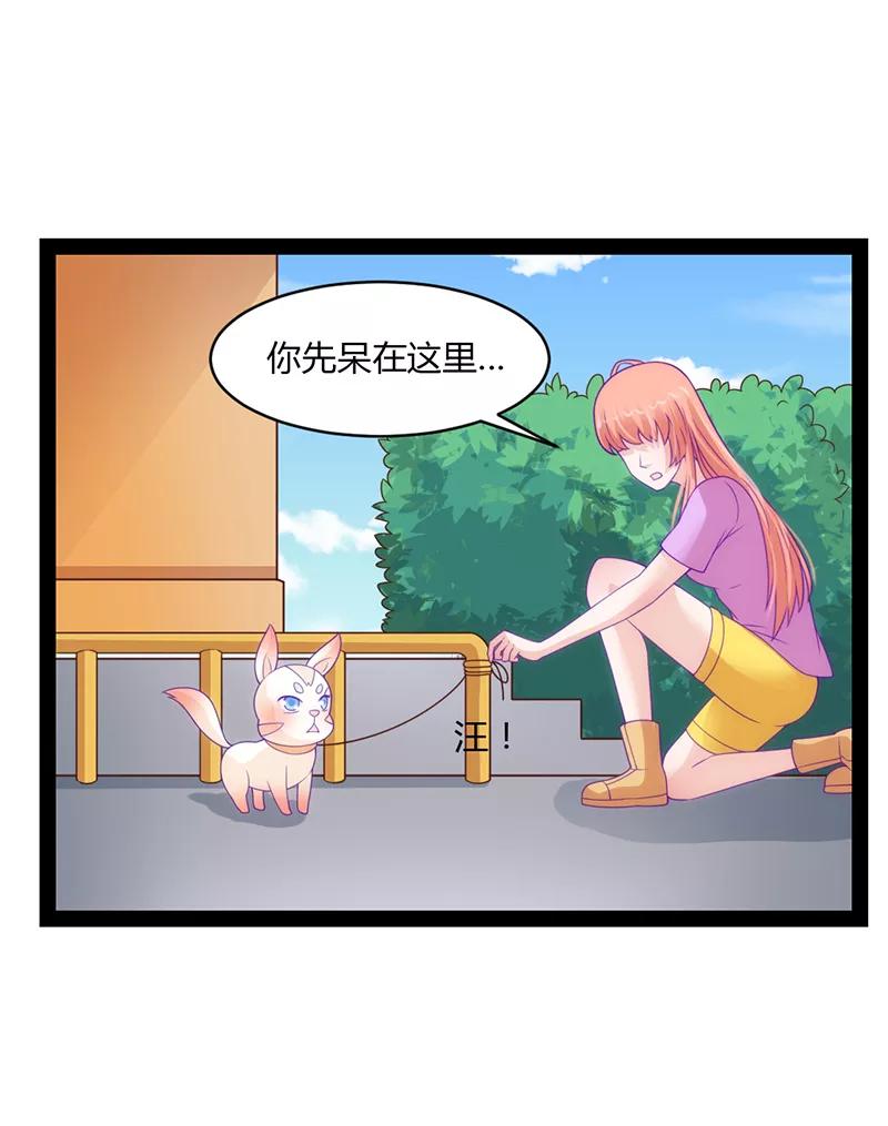 第41话-狗粮好吃-阿里文学（第6张）