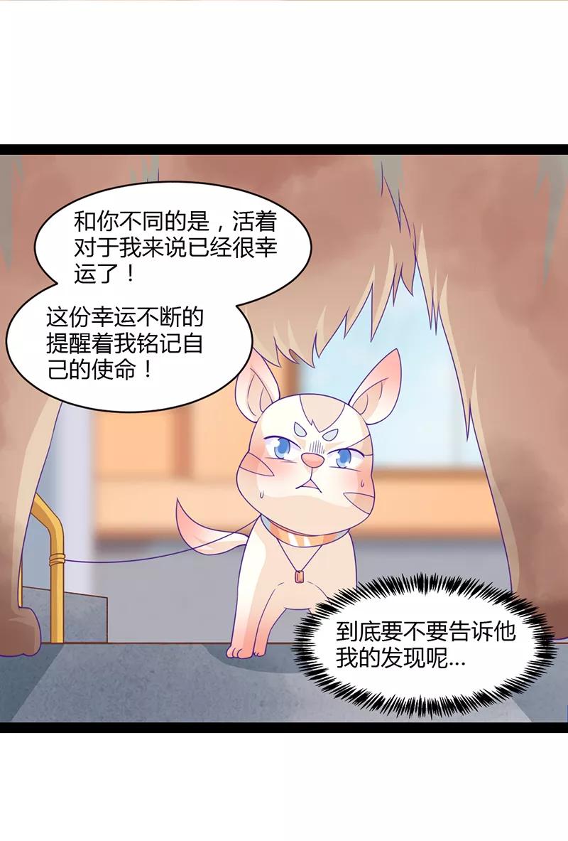第41话-狗粮好吃-阿里文学（第20张）