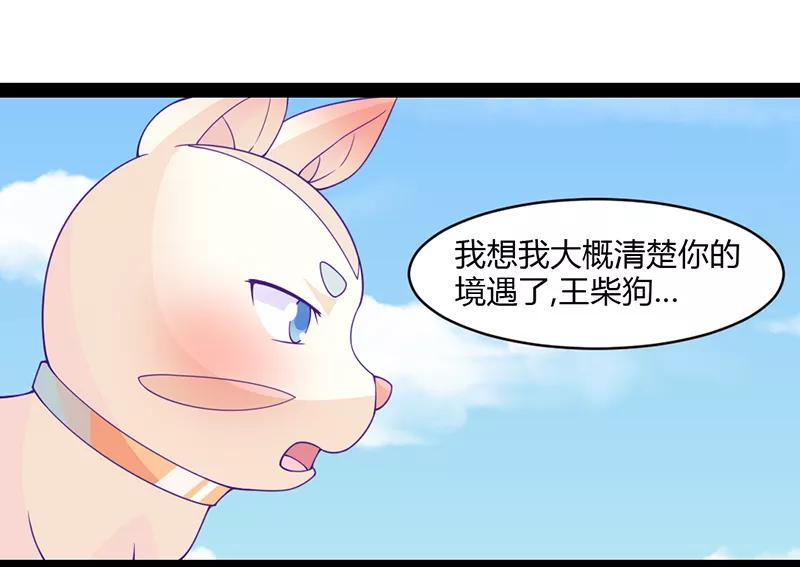 第41话-狗粮好吃-阿里文学（第22张）