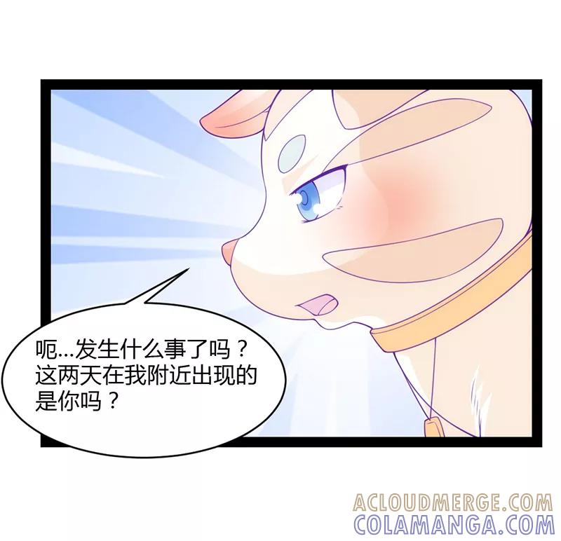 第41话-狗粮好吃-阿里文学（第13张）