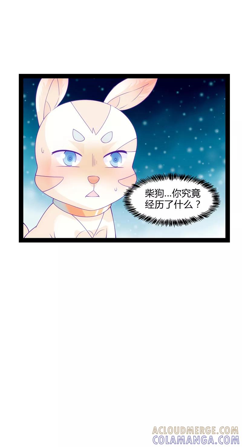 第41话-狗粮好吃-阿里文学（第19张）