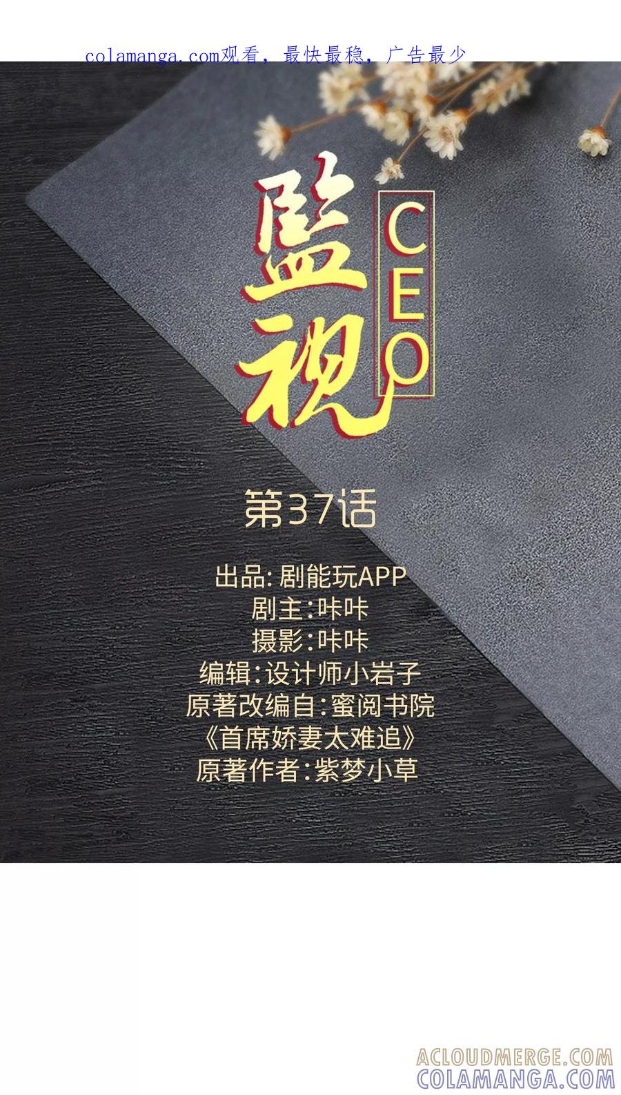 第37话-监视CEO-剧能玩（第1张）